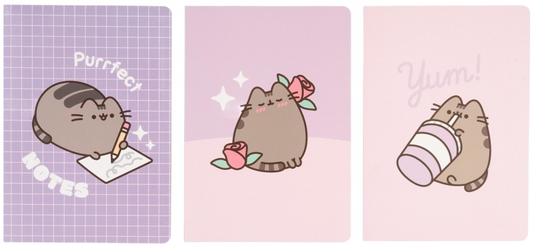 Pack De Cuadernos A5 Pusheen Moments