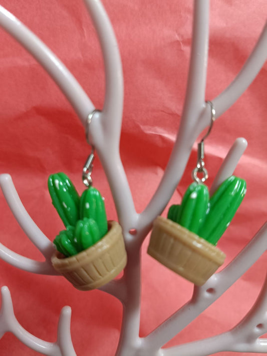 Pendientes suculenta 6