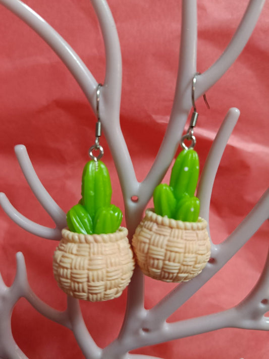 Pendientes suculenta 5