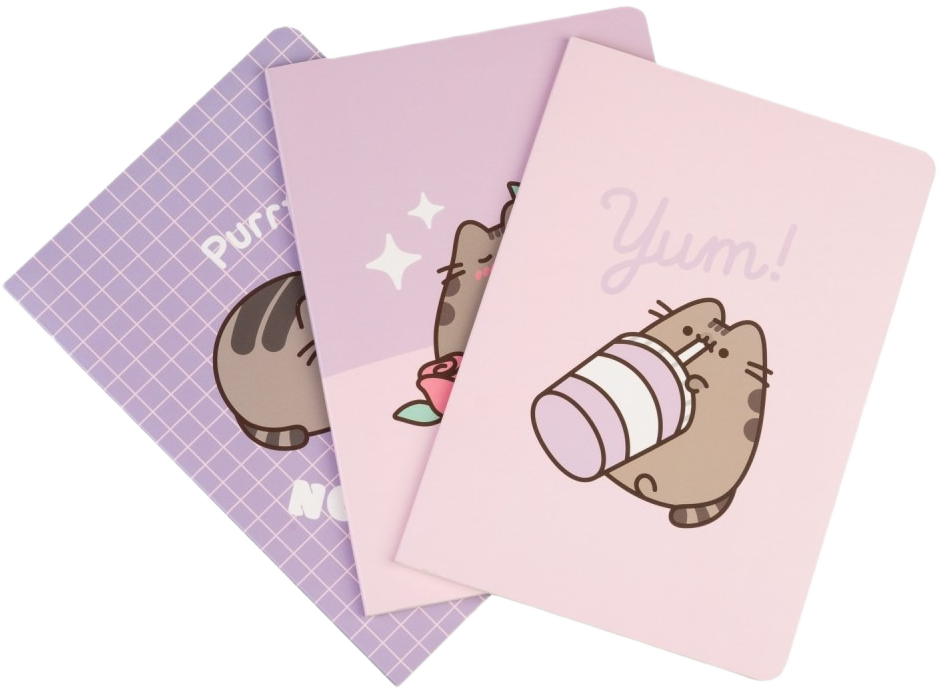 Pack De Cuadernos A5 Pusheen Moments