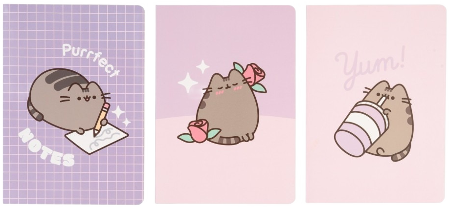 Pack De Cuadernos A5 Pusheen Moments
